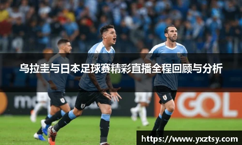今年会平台入口