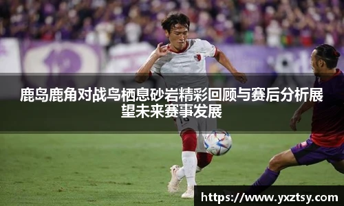 鹿岛鹿角对战鸟栖息砂岩精彩回顾与赛后分析展望未来赛事发展